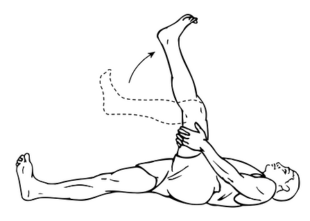 Flexibility Hamstrings