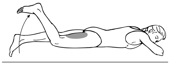 Hamstring, Curls