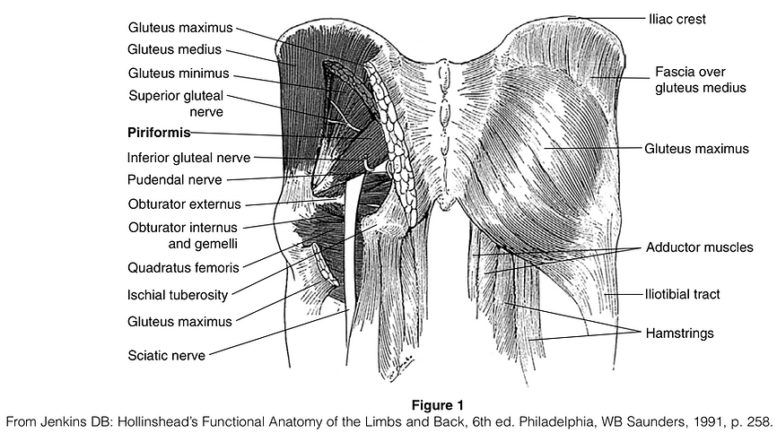Piriformis Syndrome