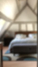 fullsizeoutput_c6d.jpeg