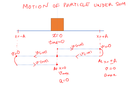 Understanding the motion of a particle under SHM at different phases