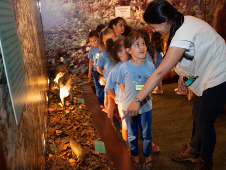 Agende sua visita de Educação Ambiental