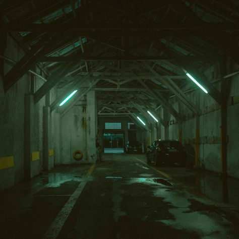 Músculo Fotográfico 