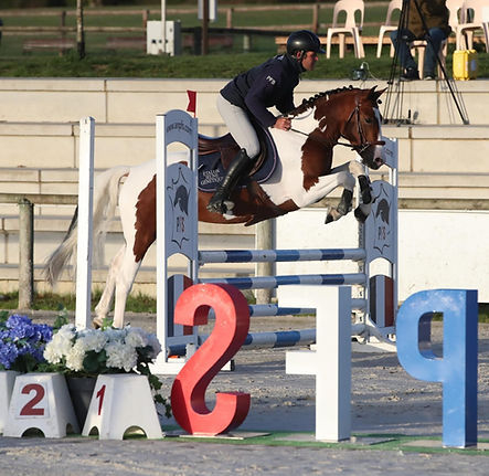 7a18a1f0-52d3-4c73-9668-da17923520a9 3.JPG