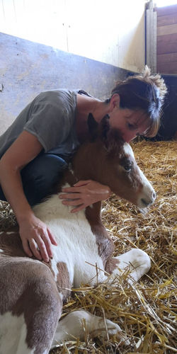 ab6d13c2-4135-4178-9271-41af33d14211