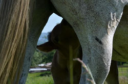 61917c46-0c55-4286-aaac-88035927ec31