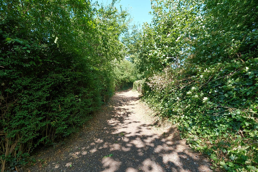 A view down the back lane of HANDRAS allotments.
