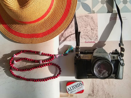 Viajar y trabajar