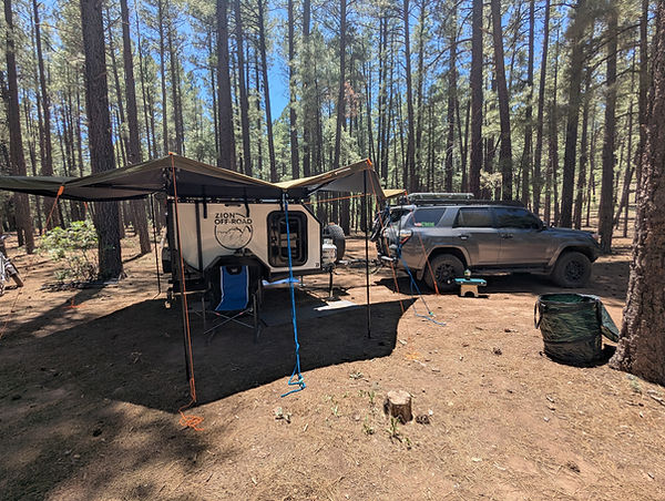 Overlanding campsite setup with a Zion Off-Road trailer and Toyota 4Runner in a pine forest, representing the AZOverland.net