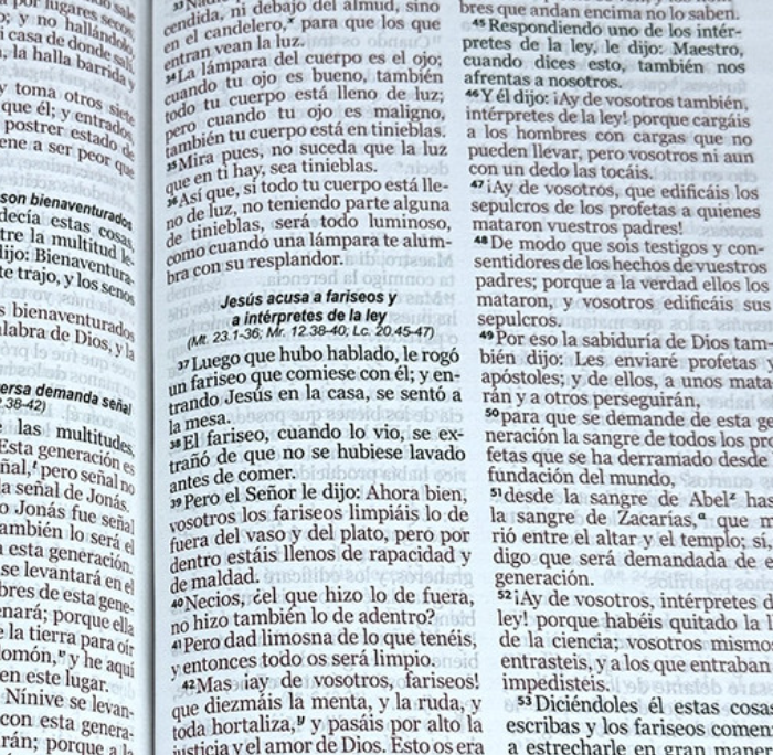 Miniatura: Biblia con Cierre RV1960 Floral