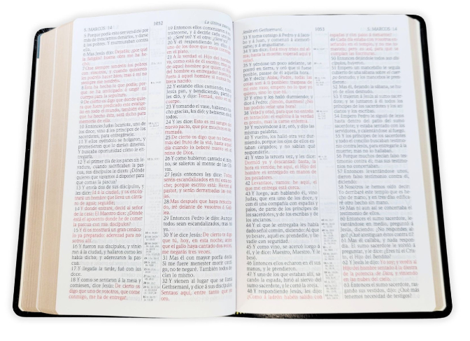 Miniatura: Biblia Clásica, RV Antigua 1909, piel, negro