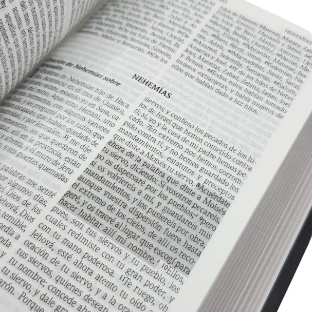 Miniatura: Biblia de Promesas Compacta