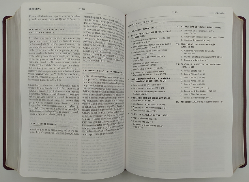 Miniatura: LA BIBLIA DE ESTUDIO DE LA REFORMA LBLA (TAPA IMITACIÓN PIEL)