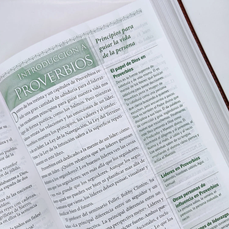 Miniatura: Biblia de Liderazgo de Maxwell