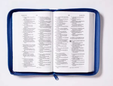 Miniatura: Biblia Tierra Santa