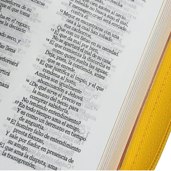 Miniatura: BIBLIA MI GRAN VIAJE RVR1960 CON CIERRE