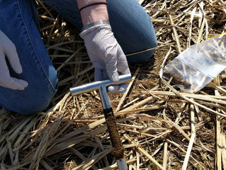 Spring GLBRC sampling