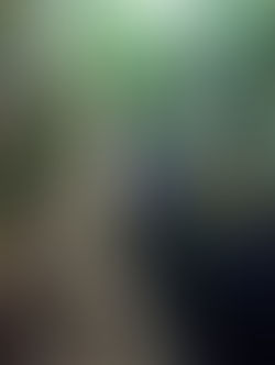 Siobhan joins the Tiedje lab for GLBRC field work