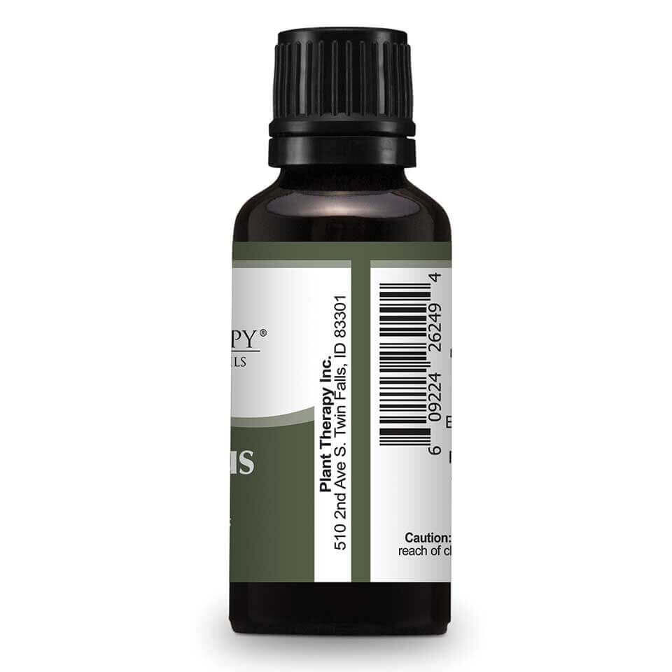 Thumbnail: Eucalyptus Globulus