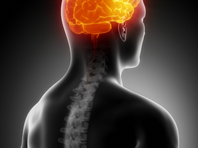 The Gate Control Theory of Pain: How Massage Therapy Provides Effective Pain Relief