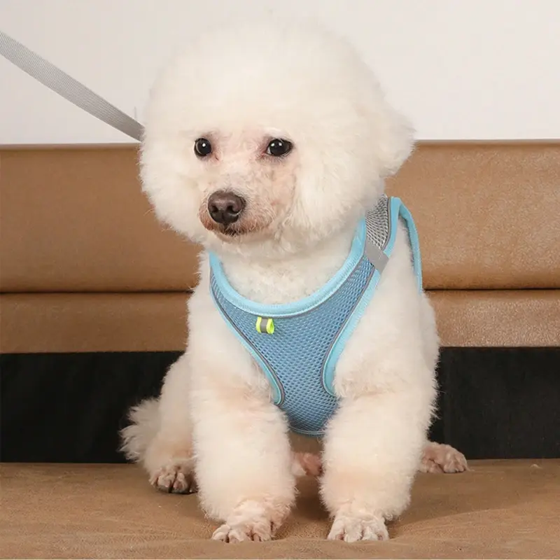 Miniatura: 1 Guia para cães + 1 Colete refletivo noturno – Conjunto de coleira e guia