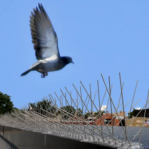 bird-spikes-500x500.webp