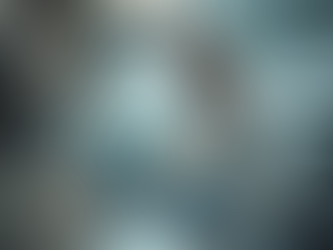 The Role of Pest Consultancy Services