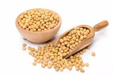 soybean.jpeg