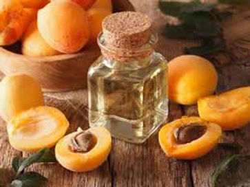 apricot kernel.jpeg