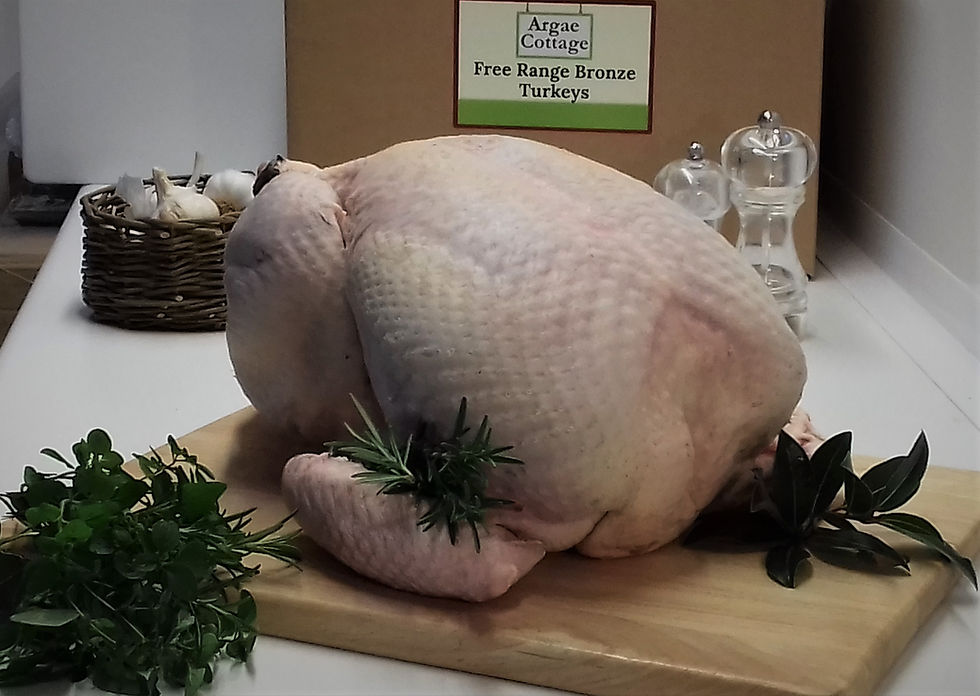 Thumbnail: Free Range Bronze Christmas Turkeys