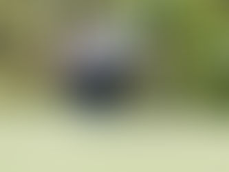 Asian Tour stars added to JAC tournament