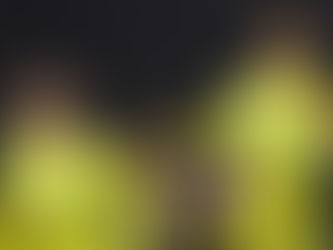 Wellington Phoenix Australia Cup