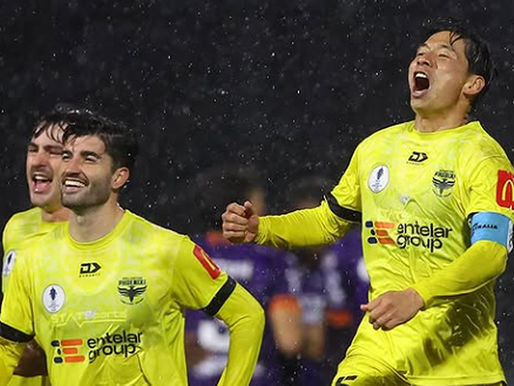 Wellington Phoenix Australia Cup