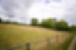 DSC01033.jpeg