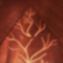 closeUp_01.jpg