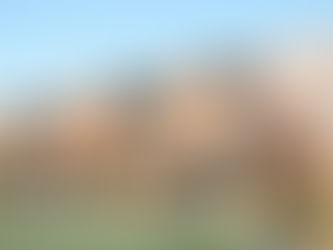 Downtown Alexandria community college campus officially open