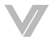 VIZI LOGO 2.png
