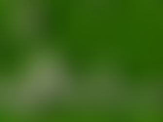 14. Faq: ¿Con cuanto sugieren fondear mi cuenta?