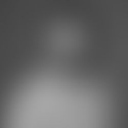 Equipo y créditos del proyecto