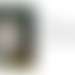 Módulo 1: Construcción de cajas inteligentes tipo AF (Aiton Fontana) 