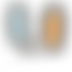 Módulo 3: Alimentación, control y cuidado del Meliponario