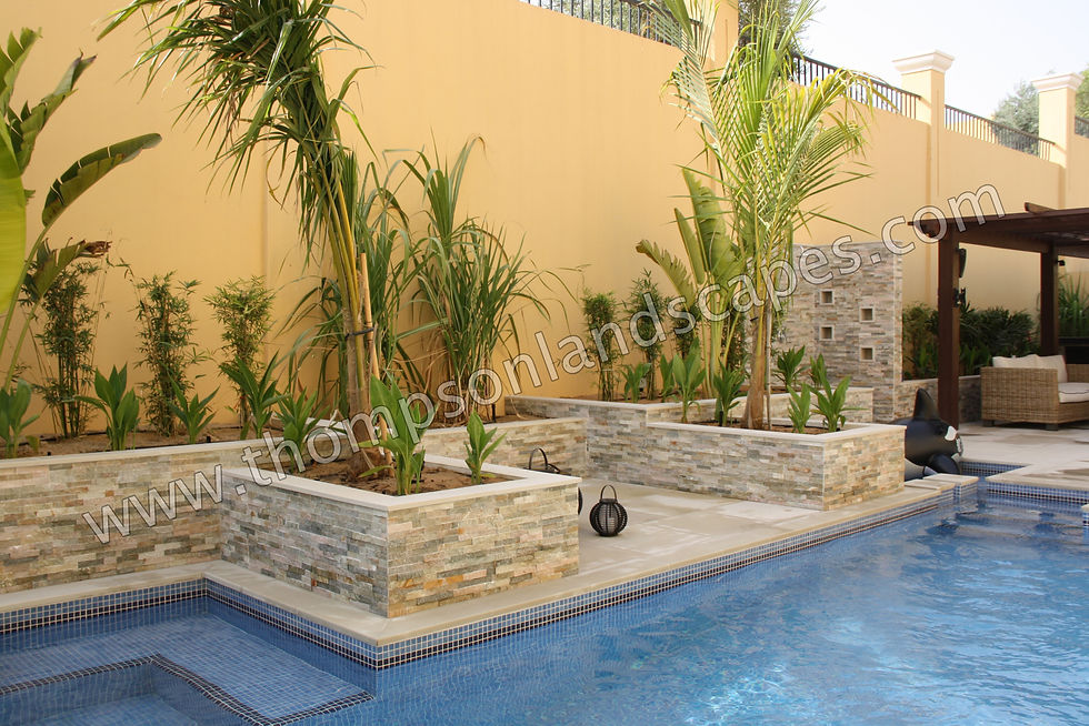 Landscape Design and Swimming Pool