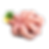 Polpo T3
