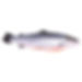 Salmone Hog Superior
