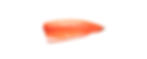 Filetto di Salmone Norvegese