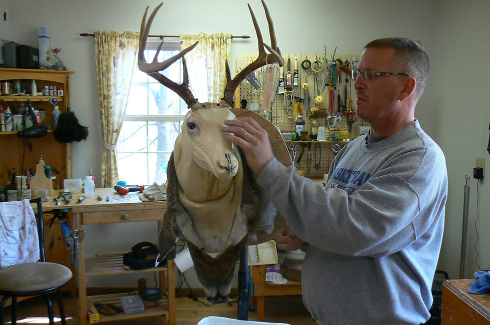 deermount_white