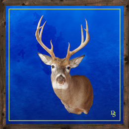 buck_twistedtips.jpg