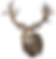 buck leftside_logo.png