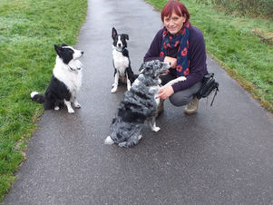 Embracing the Spirit of Our Animal Companions