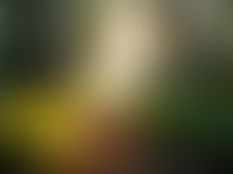 Explore Shamanic Journey Techniques for Growth